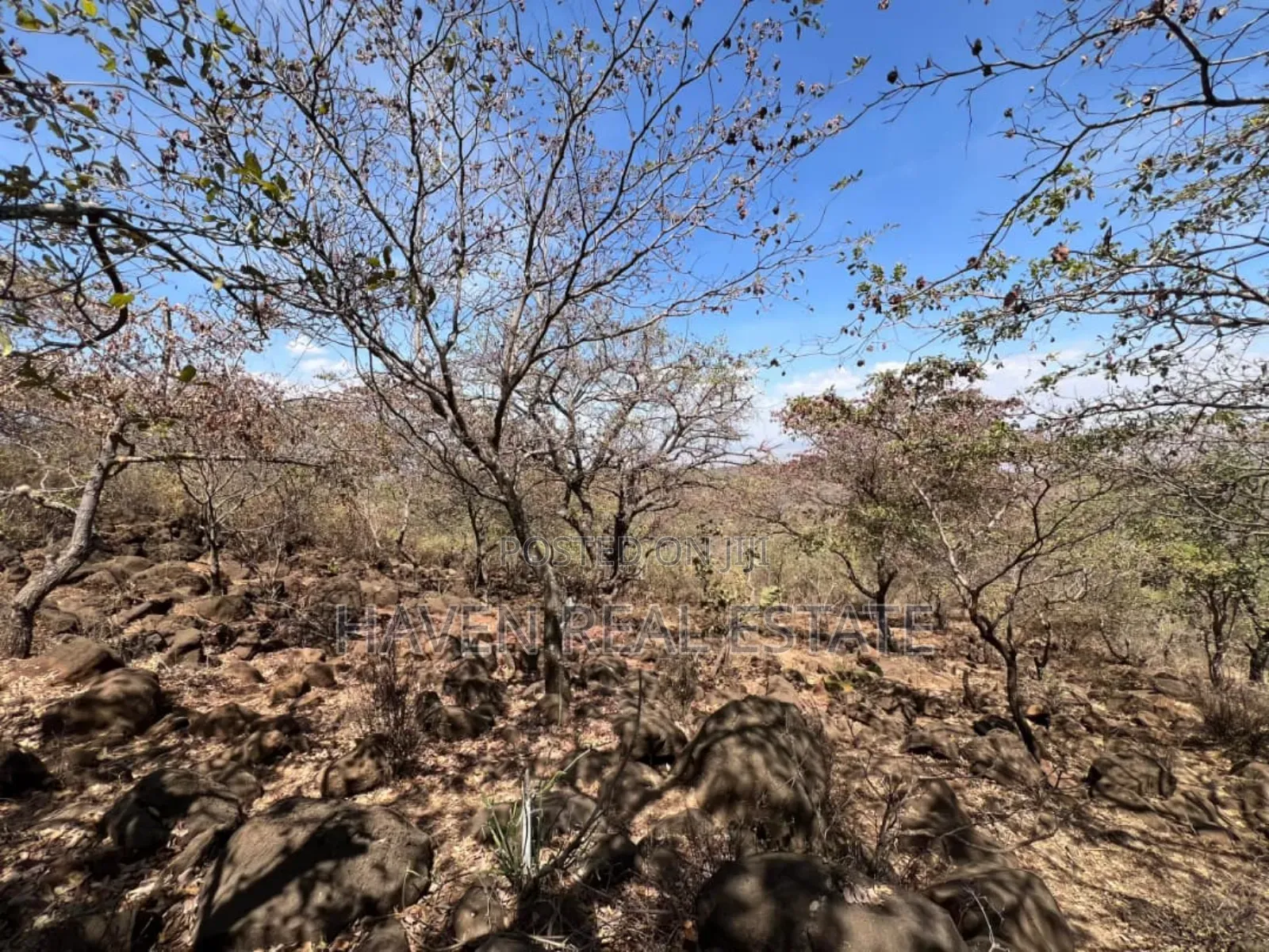 Eneo La 8 Acres Lenye View Ya Hifadhi Na Ziwa Manyara Linauzwa