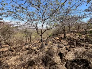 Eneo La 8 Acres Lenye View Ya Hifadhi Na Ziwa Manyara Linauzwa