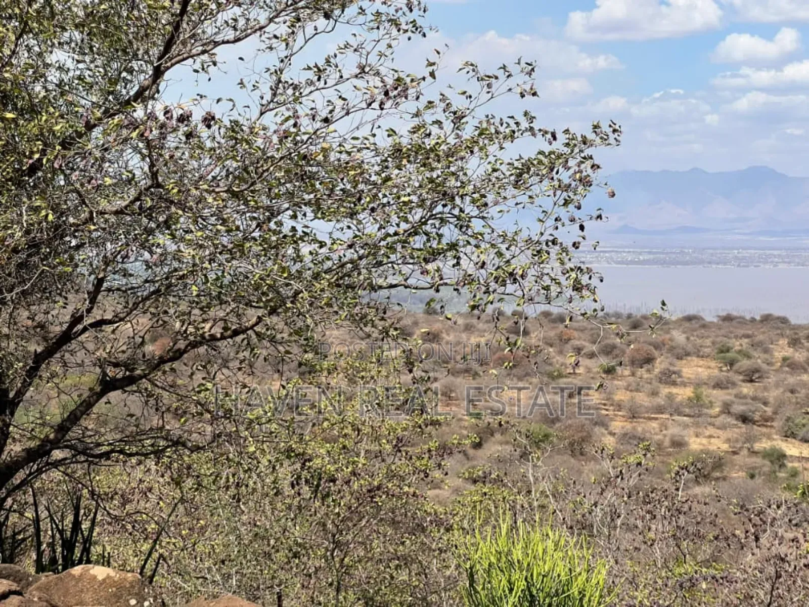 Eneo La 8 Acres Lenye View Ya Hifadhi Na Ziwa Manyara Linauzwa