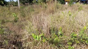 12 Acres Zinauzwa Mlandizi Msufin
