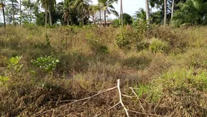 12 Acres Zinauzwa Mlandizi Msufin
