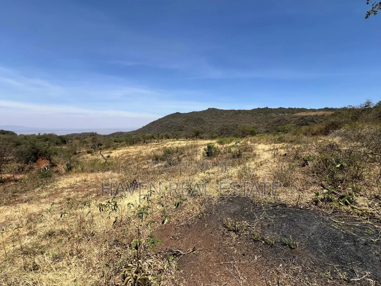 44 Acres Zina View Ya Ziwa Manyara Zinauzwa