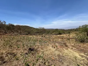 44 Acres Zina View Ya Ziwa Manyara Zinauzwa