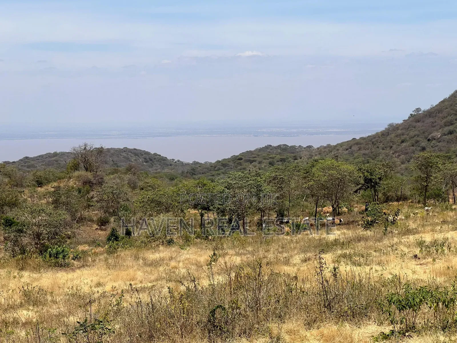 44 Acres Zina View Ya Ziwa Manyara Zinauzwa