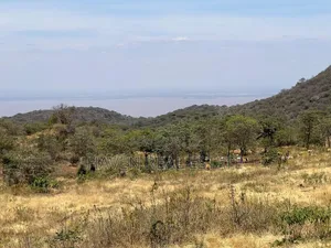 44 Acres Zina View Ya Ziwa Manyara Zinauzwa