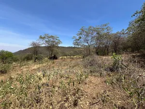 44 Acres Zina View Ya Ziwa Manyara Zinauzwa