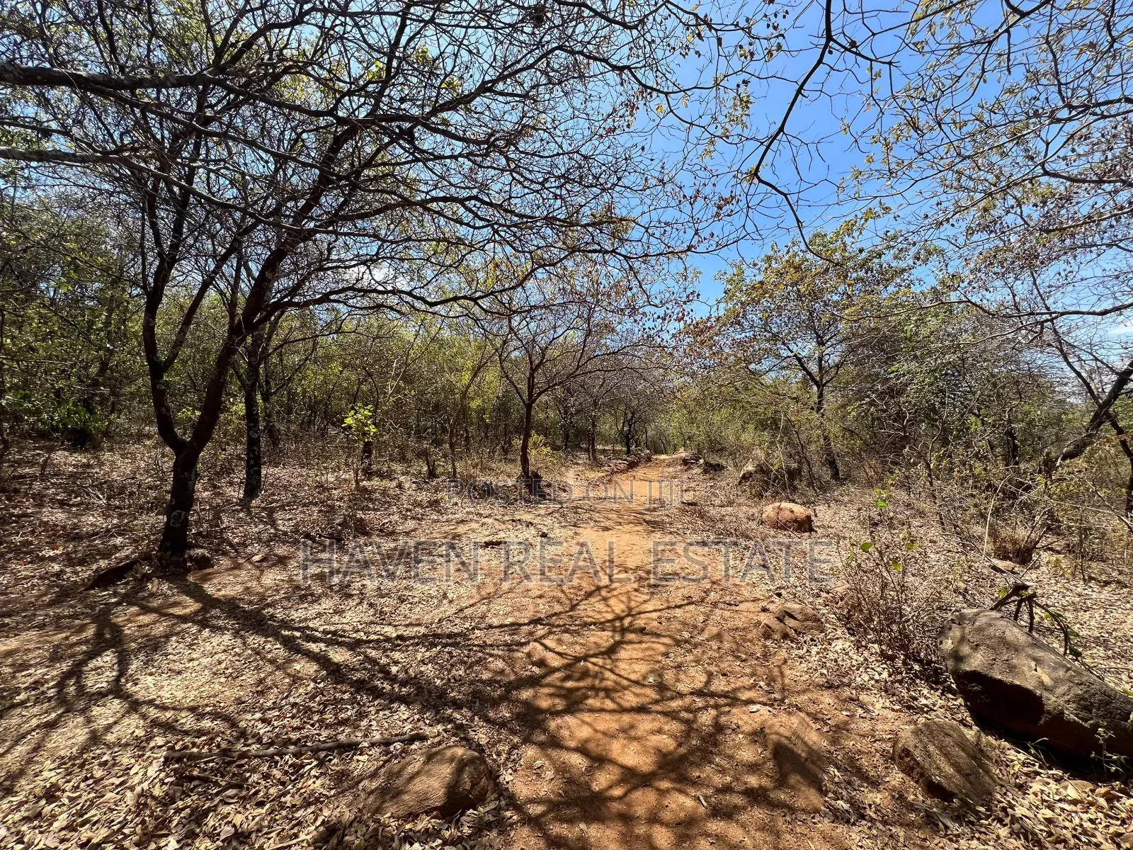 44 Acres Zina View Ya Ziwa Manyara Zinauzwa