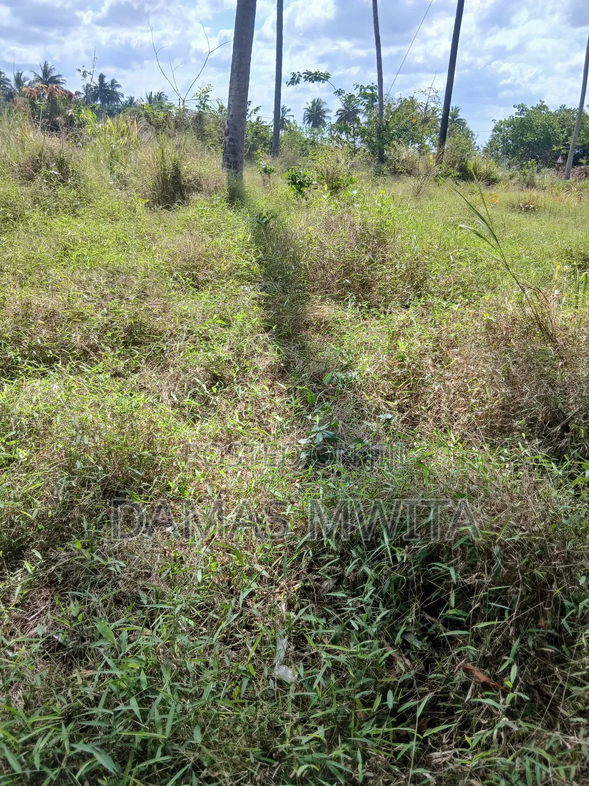 Hot Property Alert, 3000 SQM Prime Plot for Sale