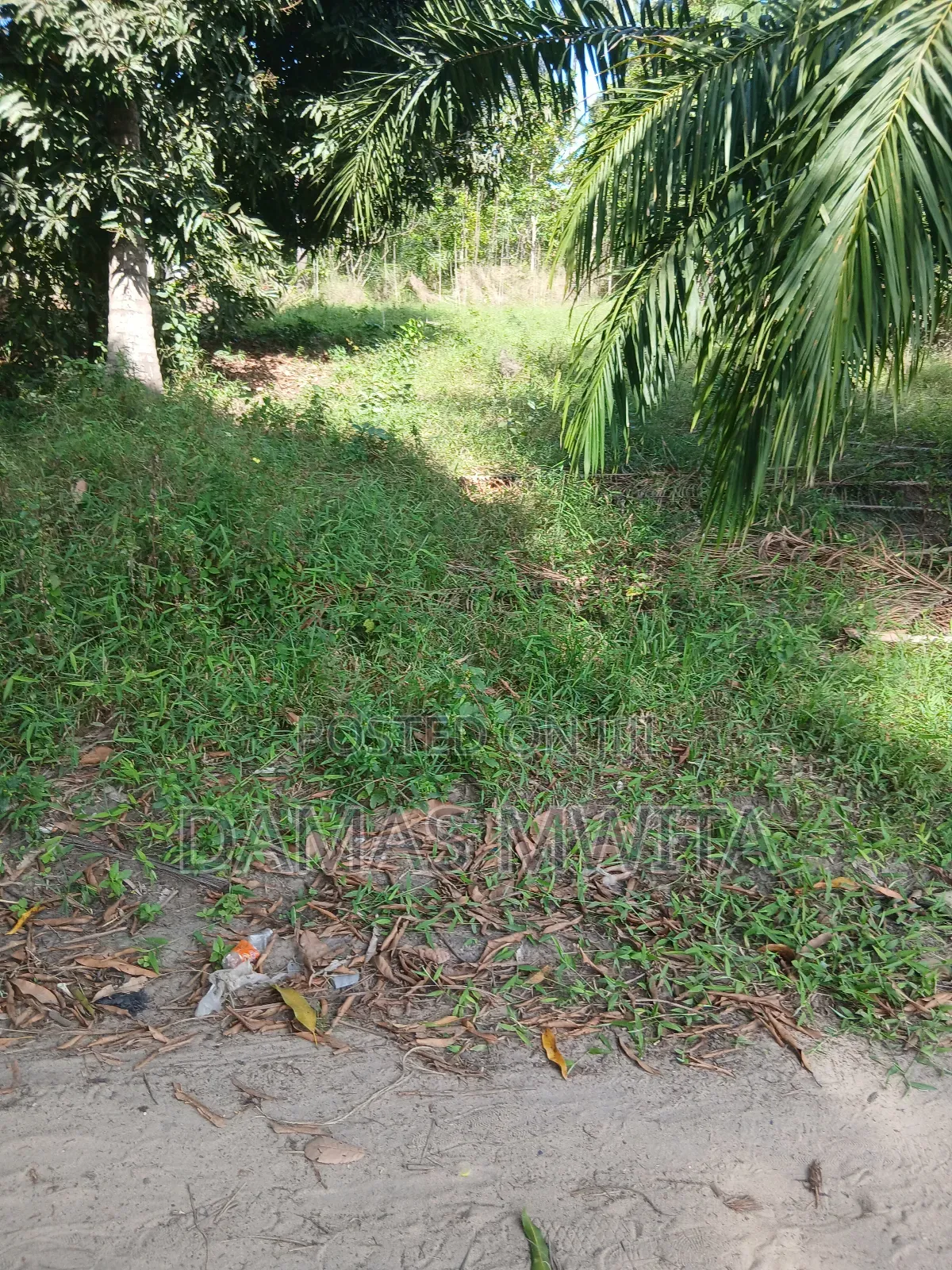 Hot Property Alert, 3000 SQM Prime Plot for Sale