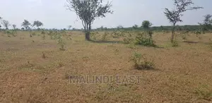 Bagamoyo Kiwanja Chenye Hati Kinauzwa