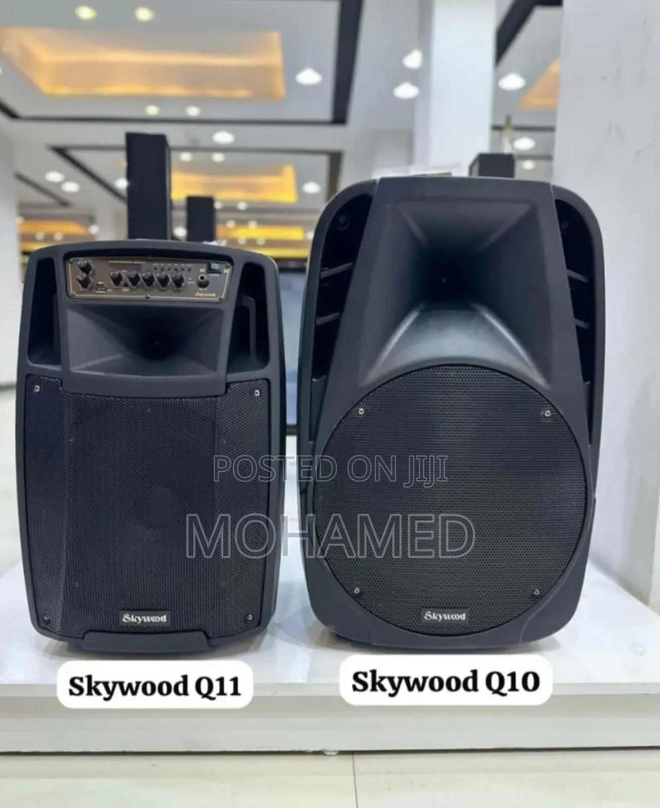 Skywood Speakers