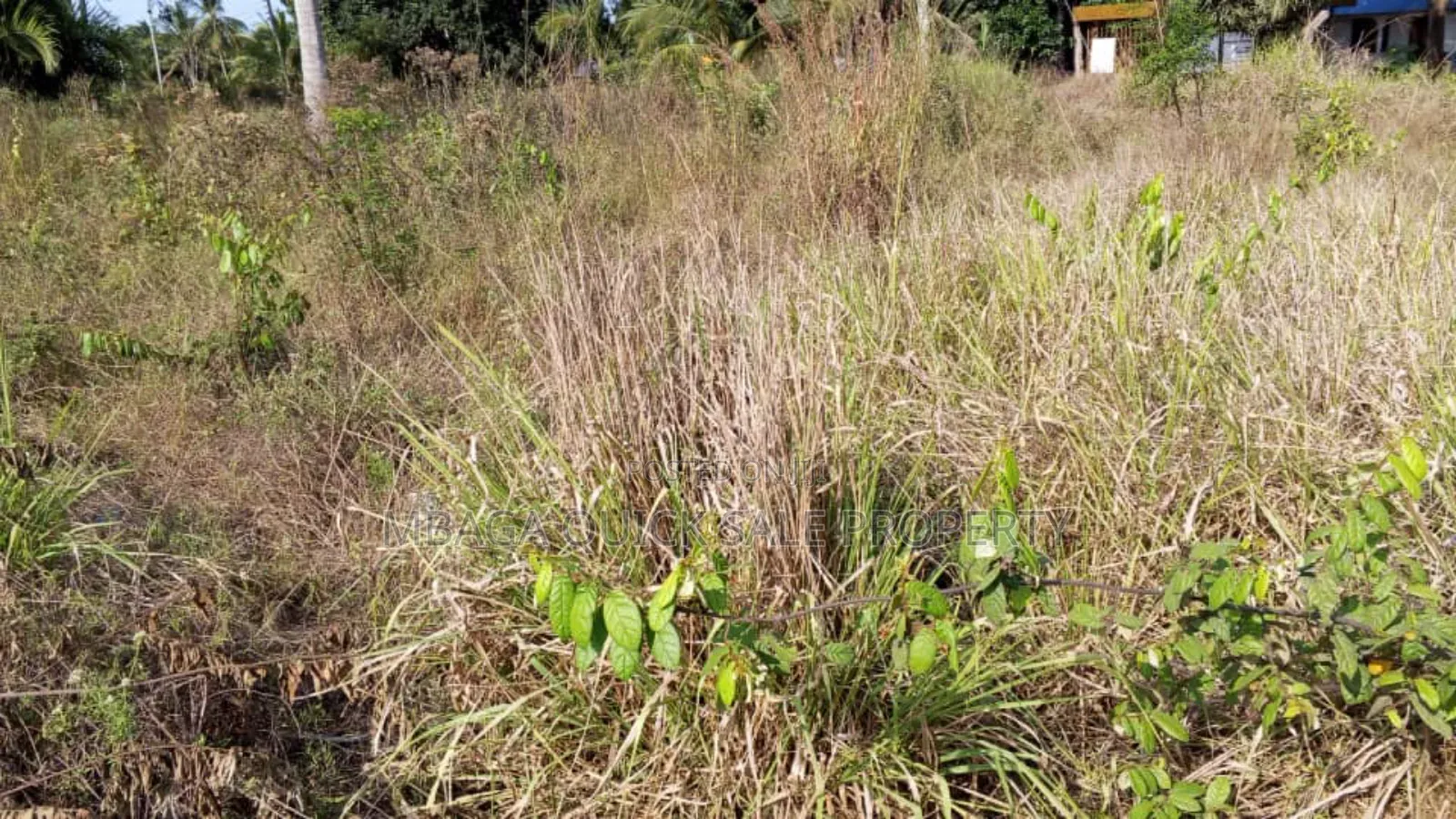 Plot for Sale at Mlandizi Msufini