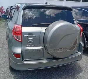 Toyota RAV4 Limited 2009 Gray