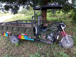 Bajaj Boxer 125 2025 Green