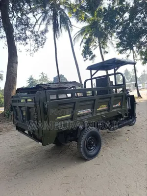 Bajaj 2024 Black