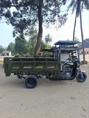 Bajaj 2024 Black
