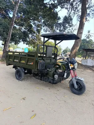Bajaj 2024 Black