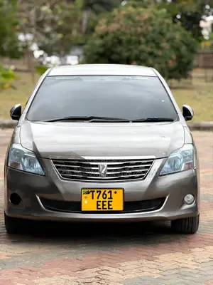 Toyota Premio 2008 Beige