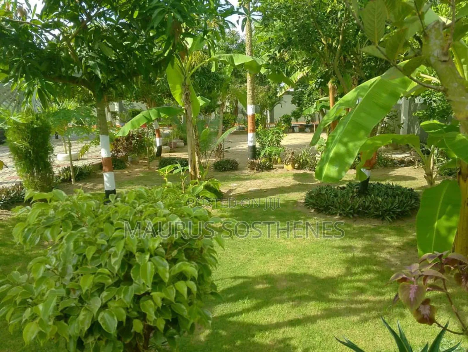 5bdrm House in Buyuni, Chanika for sale