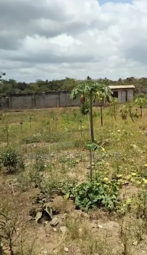 Commercial Plot for Sale at Salasala