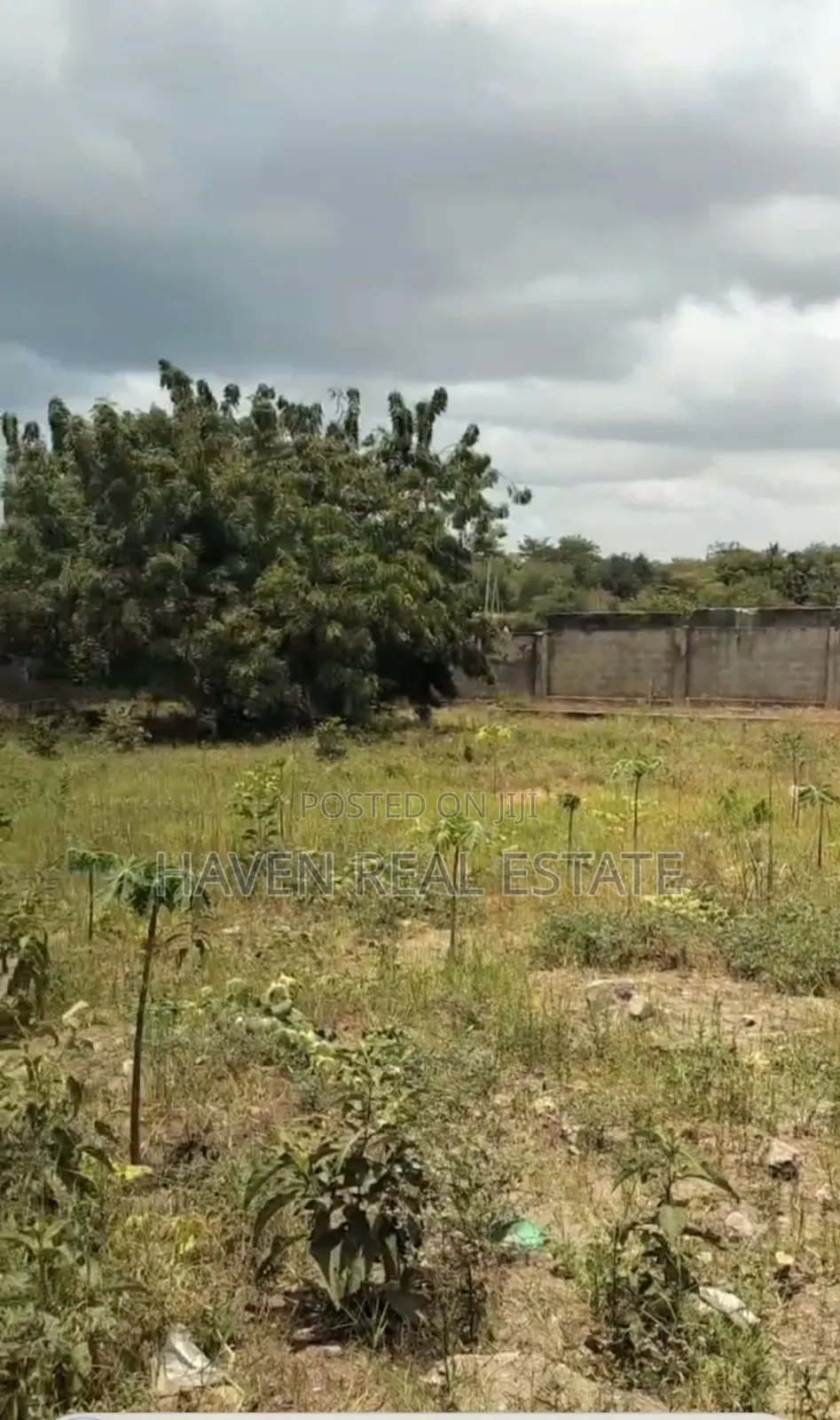 Commercial Plot for Sale at Salasala