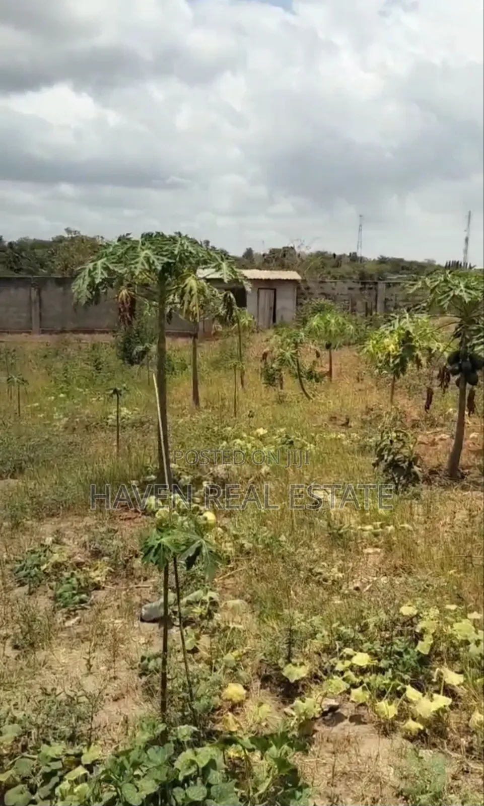 Commercial Plot for Sale at Salasala
