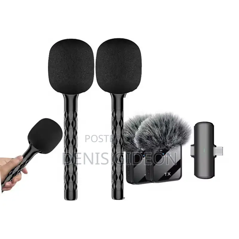 F15-2 Wireless Microphone With Two Handles Stick