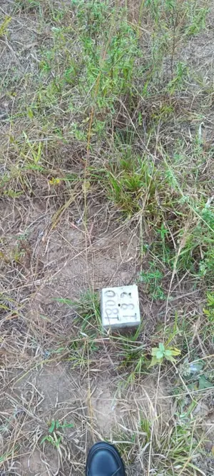 Plot for Sale at Kibaha
