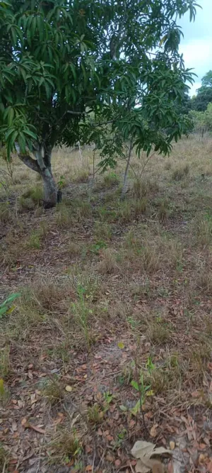 Plot for Sale at Kibaha