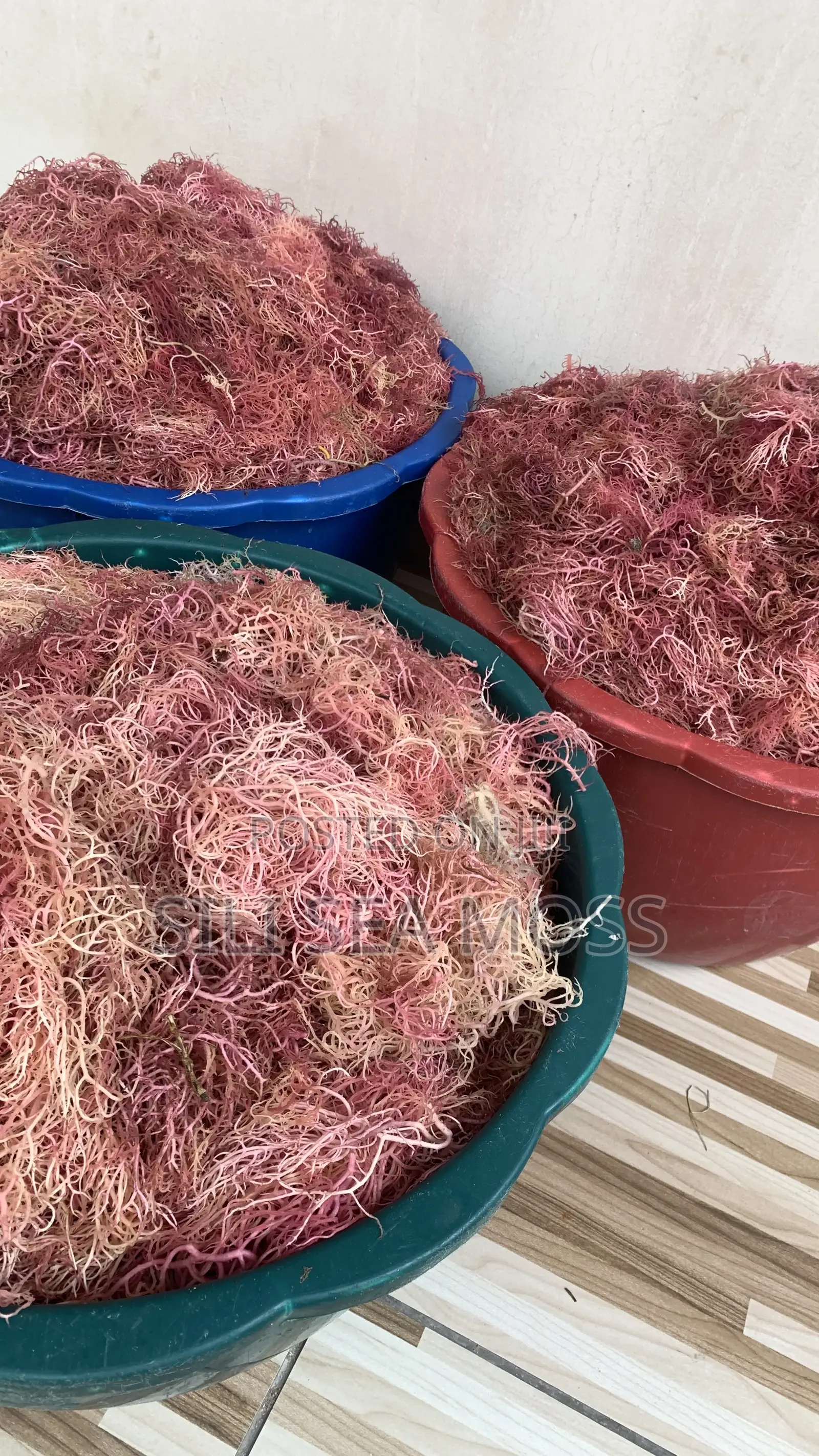 Purple Sea Moss From Tanzania