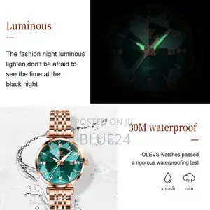 Olevs Brand Watch Fashion Hot Selling Waterproof Women's Watch 5536