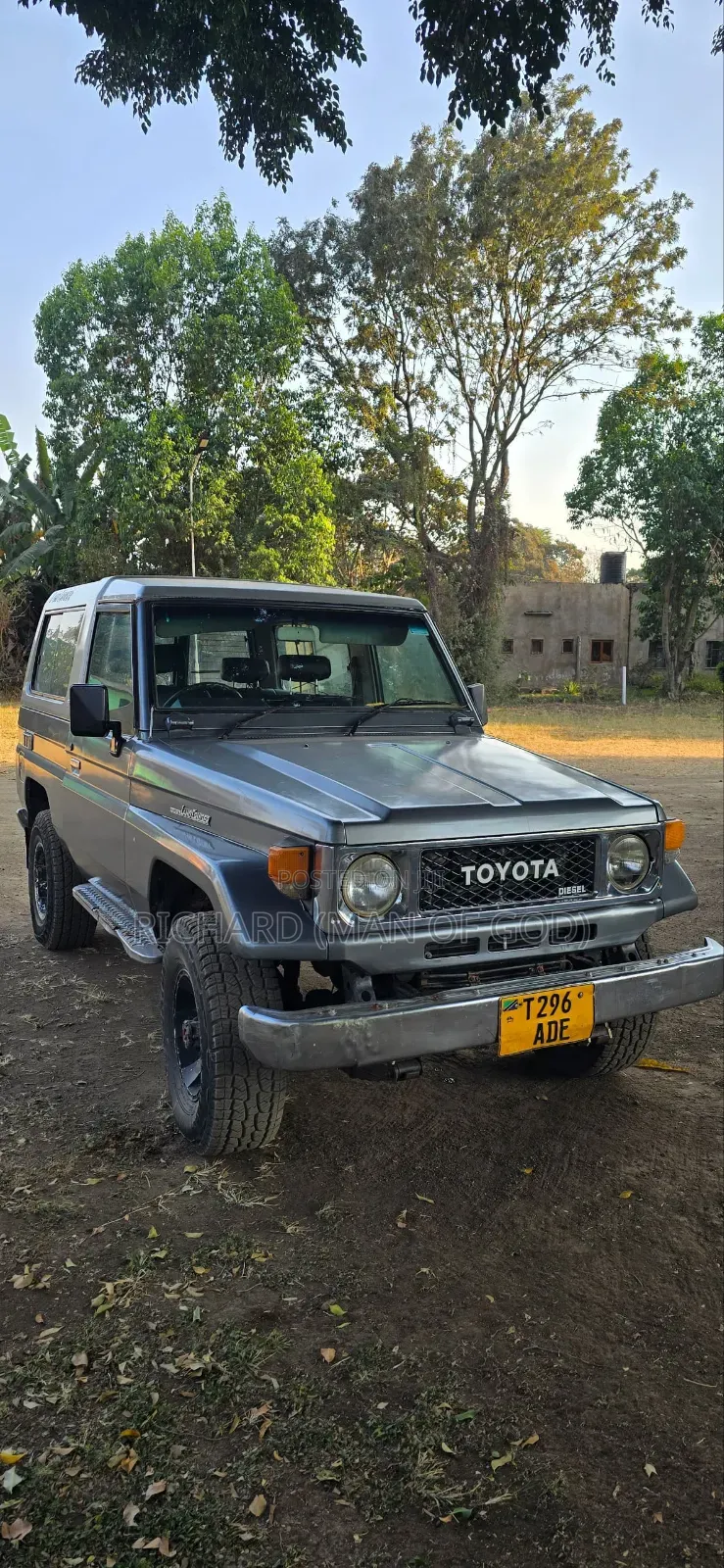 Toyota Land Cruiser 1989 Silver