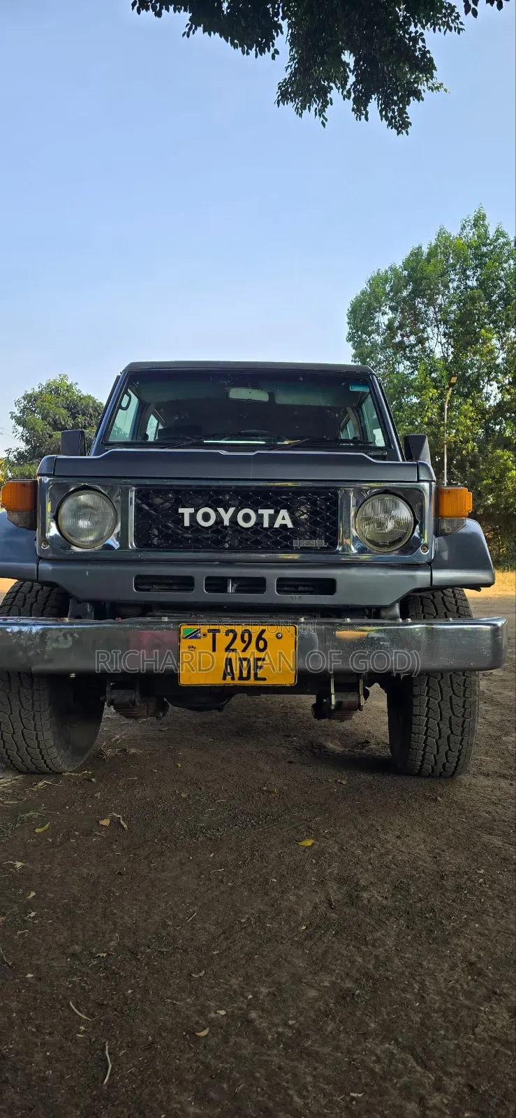 Toyota Land Cruiser 1989 Silver