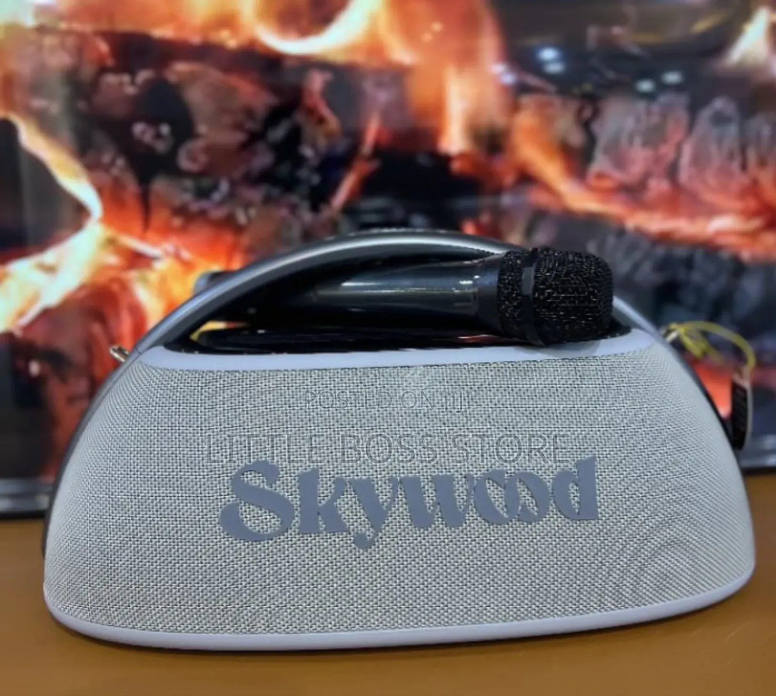 Skywood Karaoke Speaker Boombx 2