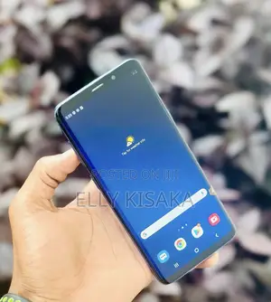 Samsung Galaxy S9 Plus 64 GB Blue