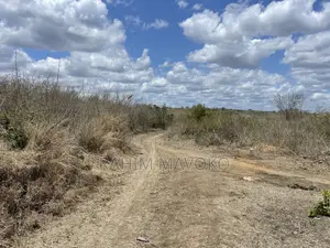 Shamba Linauzwa Kiwangwa Eka 170