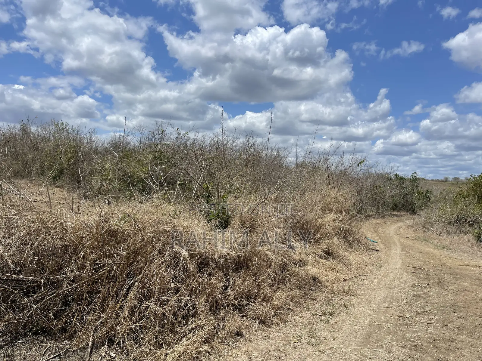 Shamba Linauzwa Kiwangwa Eka 170