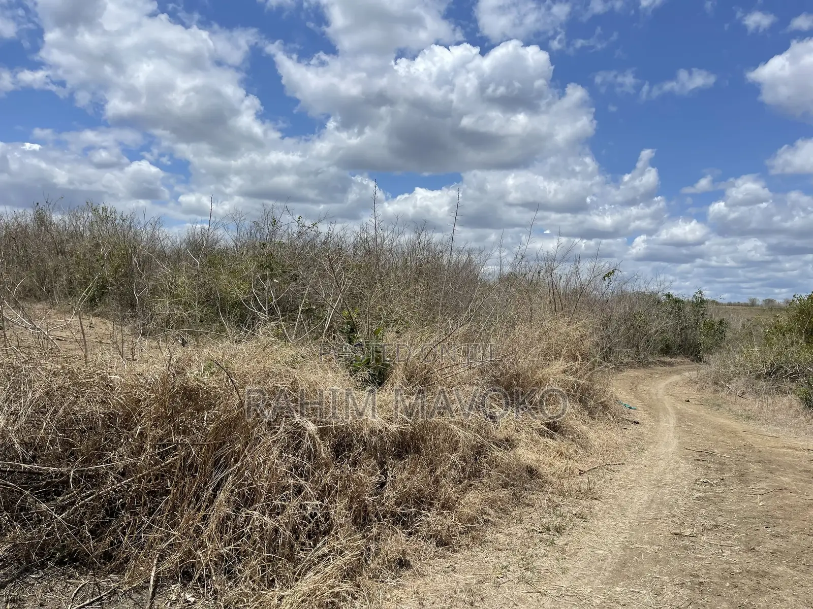 Shamba Linauzwa Kiwangwa Eka 170