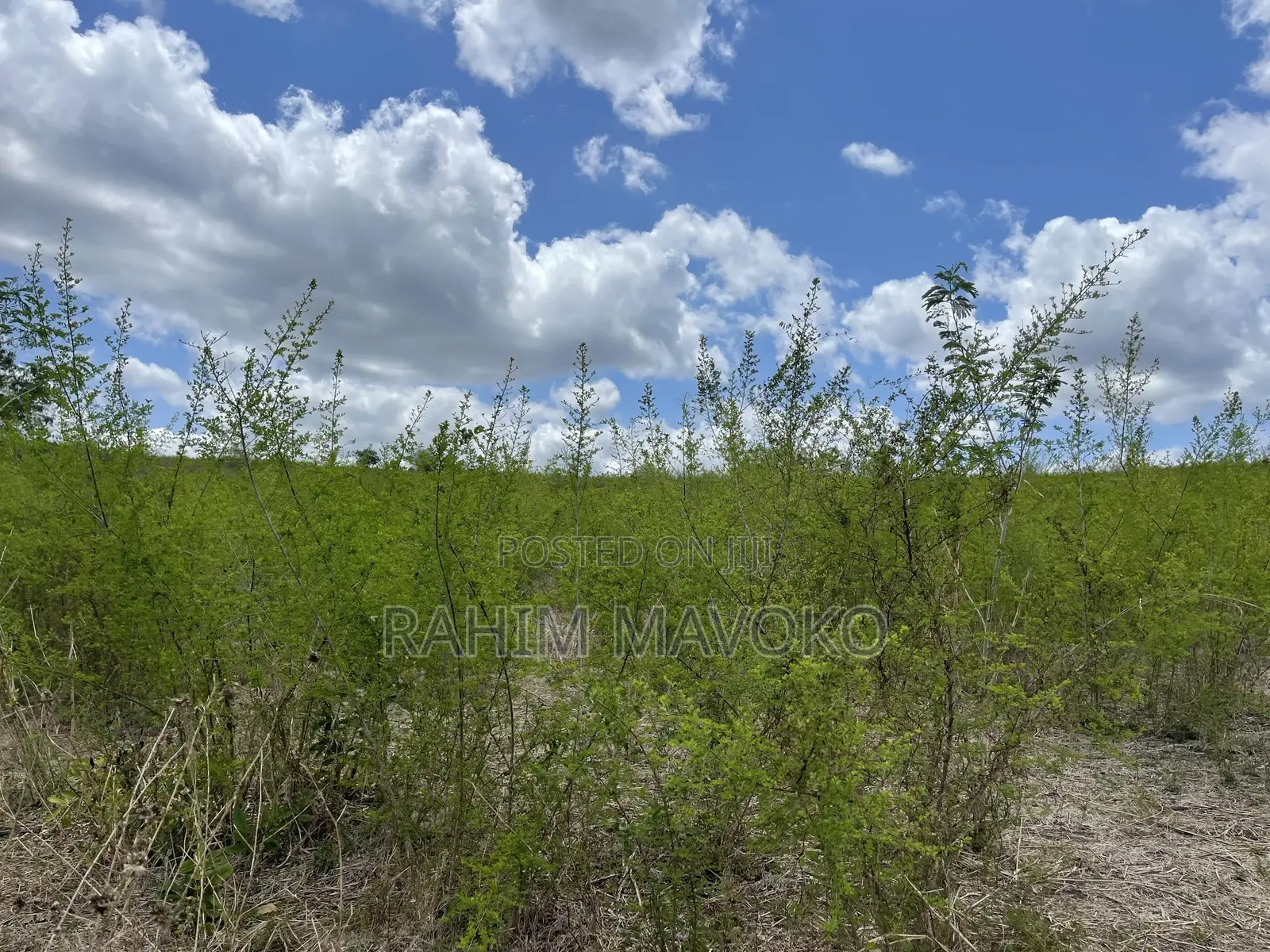 Shamba Linauzwa Kiwangwa Eka 170