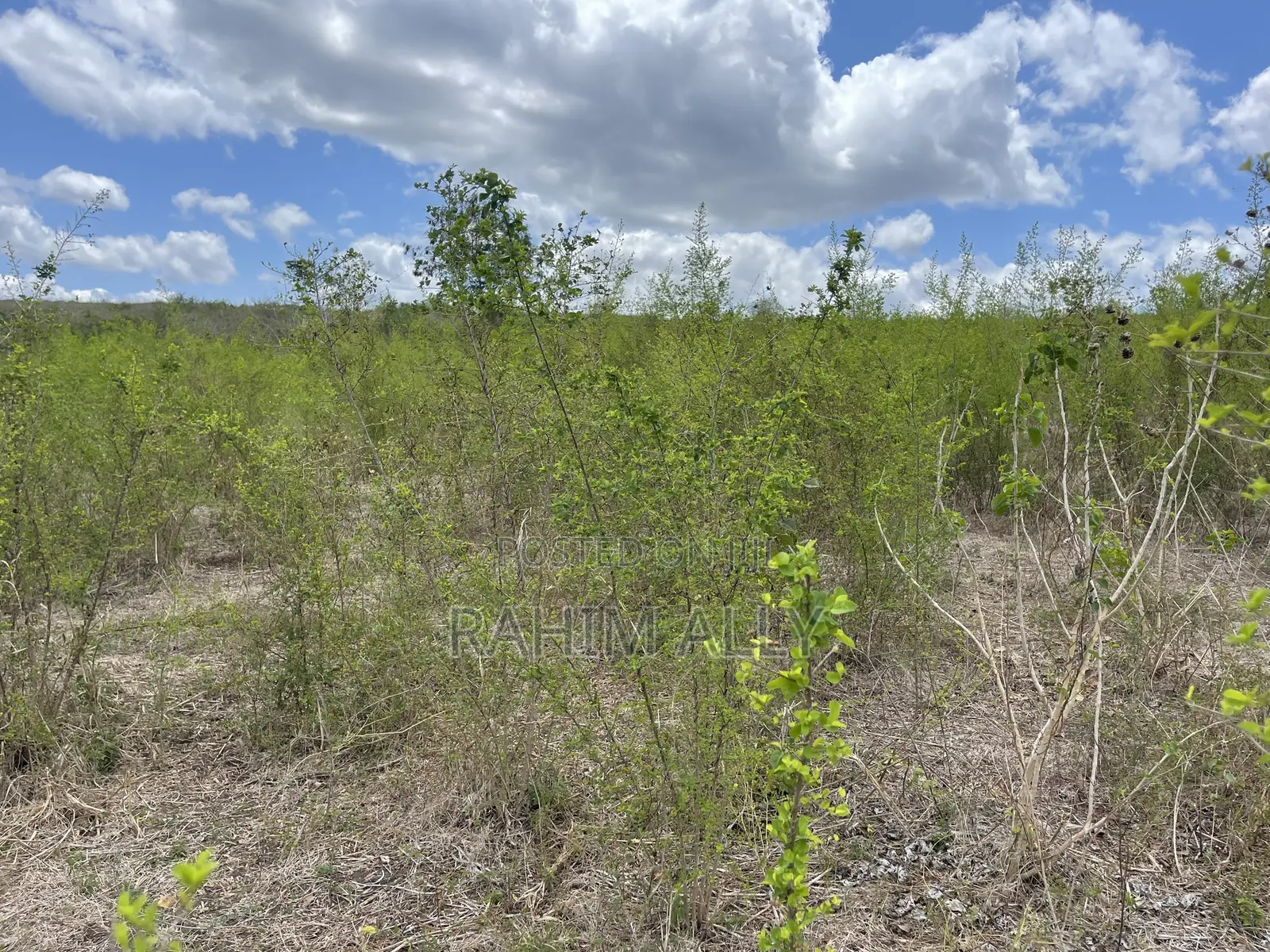 Shamba Linauzwa Kiwangwa Eka 170