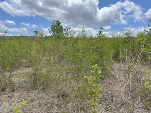 Shamba Linauzwa Kiwangwa Eka 170