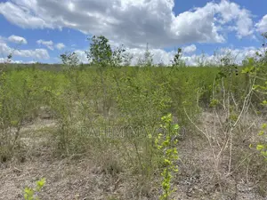 Shamba Linauzwa Kiwangwa Eka 170