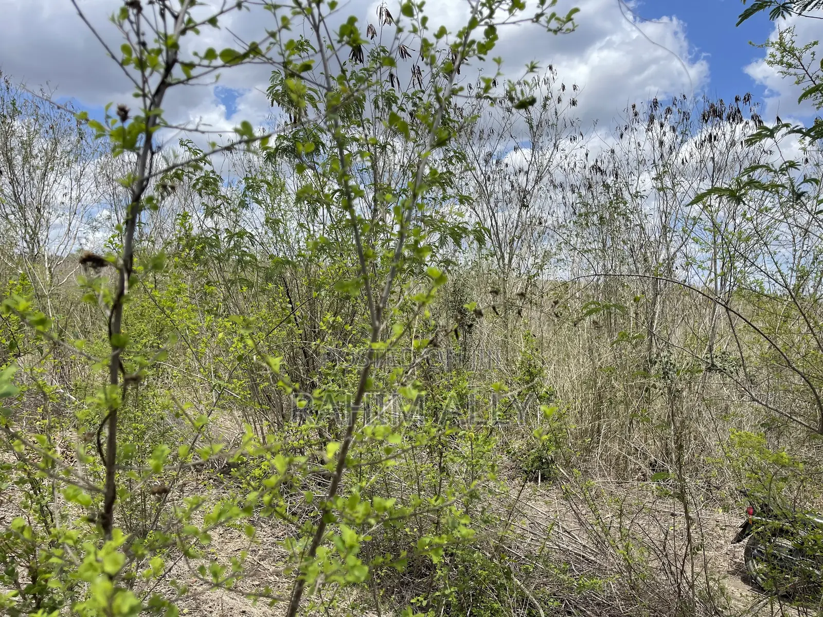 Shamba Linauzwa Kiwangwa Eka 170