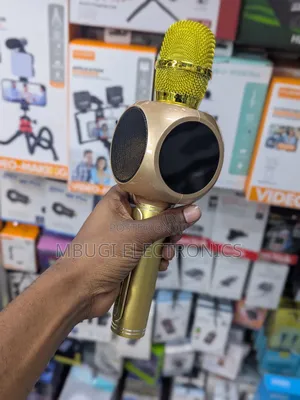 Karaoke Magic Mic for Kids With Speaker