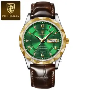 Poedagar Watch