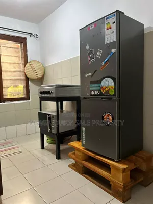 2bdrm Apartment in Mikocheni for rent
