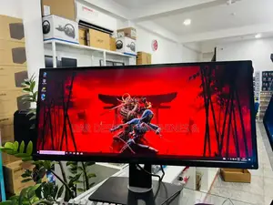 Dell 29-Inch Monitor (U2913wmt)