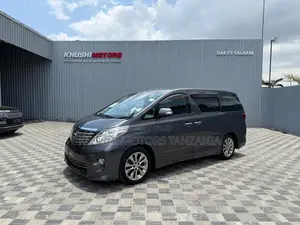 Toyota Alphard 2.4 Petrol FWD 2010 Gray