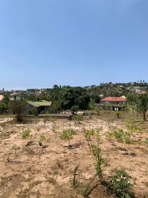 Plot for Sale at Salasala