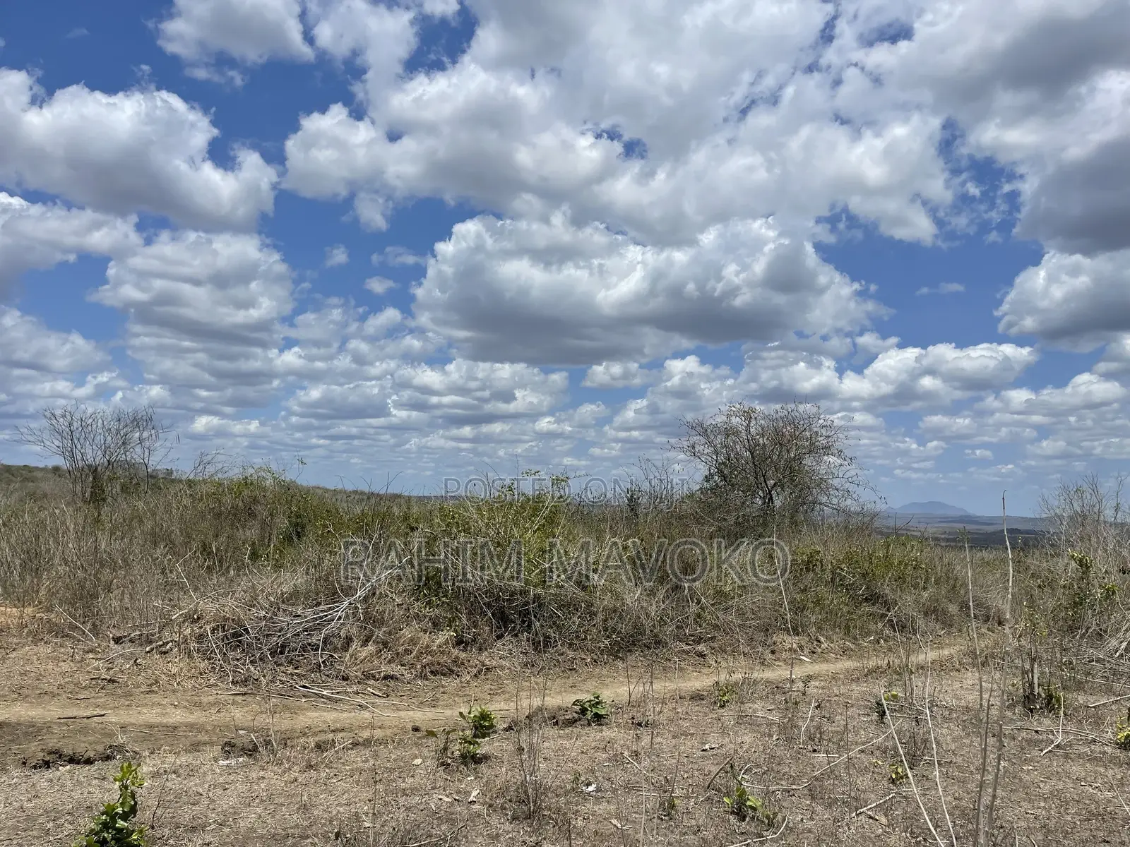 Shamba Linauzwa Eka 200.